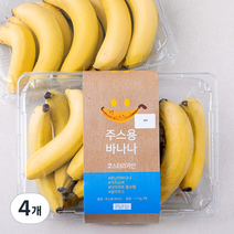 과일보감 코스타리카 주스용 바나나, 1.7kg, 4개
