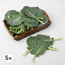 곰곰 케일, 500g, 5개