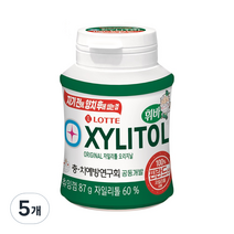 롯데제과 자일리톨 오리지날 츄잉껌, 87g, 5개