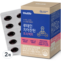 대상웰라이프 루테인 지아잔틴 트리팩트 33g, 2개