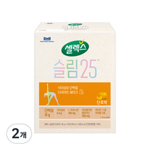 셀렉스 슬림25 단호박 다이어트쉐이크, 2개, 360g