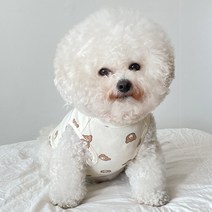 바이담수미 강아지 티티곰 나시 티셔츠, 아이보리