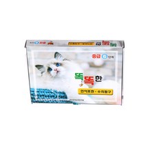 똑똑한 언어표현 수리탐구 중급 6단계 6세 전20권 세트, 중앙영재교육연구원