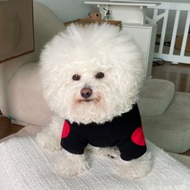 바이담수미 강아지 울하트 목폴라 티셔츠, 블랙