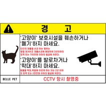 벨르펫 방수 길고양이 안전 보호 스티커, 고양이 보호시설 훼손 및 학대 방지 CCTV 촬영중, 3개