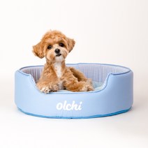 올치 강아지 피크닉 원형 스펀지 방석 분리형, 블루