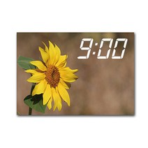 홈마인 LED 시계 캔버스 프린팅 액자 해바라기 A3, 22
