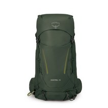 오스프리 Kestrel 38 등산배낭 38L 방수커버 포함, Bonsai Green