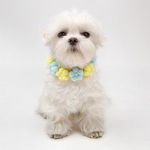 올치 반려동물 길이 조절 솜솜 목걸이, 옐로우, 1개