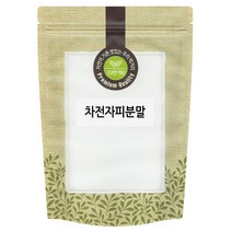 생생드림 차전자피 분말, 300g, 1개