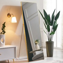 에이스홈 크리스탈 와이드 스탠딩 전신거울 대, 골드