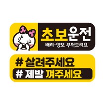 제제데코 초보운전 자동차 탈부착 자석 고휘도 반사 스티커 시트지 미디엄 E230 EC008 + EC048 세트, 혼합색상, 2개입