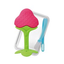 앙쥬 딸기 치발기, 치발기 + 투명케이스 + 위생집게, red, 1세트