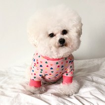 바이담수미 강아지 하트 패턴 티셔츠, 핑크