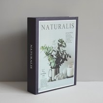 진심디자인 감성소품 모형책, TM-13 유칼립투스