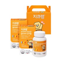 일동제약 지큐랩 우리아이 유산균 멀티비타 츄어블 60g 60정 x 2p + 기프트 박스, 1세트