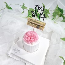 라비다 한송이 카네이션 석고케이크 핑크 + 석고방향제 리필오일 3ml + 감사합니다 용돈홀더 토퍼, 웨딩플라워