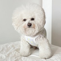 바이담수미 강아지 형광윈드곰 끈나시, 옐로우