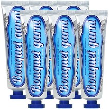 부케가르니 구취 케어 치약 스트롱 민트, 100g, 6개