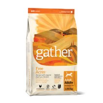 게더 프리에이커 치킨 레시피 건식사료, 1kg, 닭