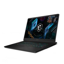 MSI 2021 GP76 Leopard 17.3, 블랙, 코어i7 11세대, 512GB, 16GB, Free DOS, GP76 Leopard 11UG