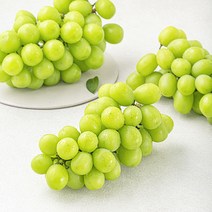 다조은 강서시장 새벽경매 샤인머스캣, 1개, 2kg