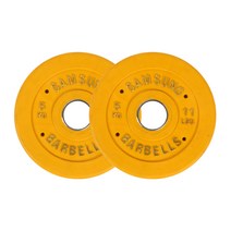 아리프 다이나믹 클럽용 컬러 중량 원판 5kg, 5kg 2개입