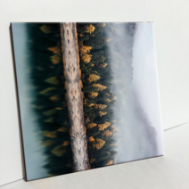 에이치티피 타일 안개낀나무 C1220