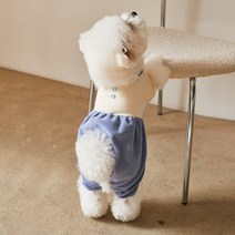 베니즈 반려동물 잼잼 올인원, 블루, 1개