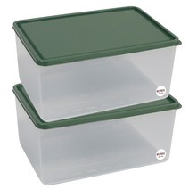비트리 휘어지는 냉동실 정리용기 시즌2 3800ml 그린, 1개입, 2개