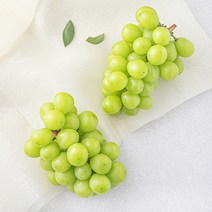 맛뜨레 샤인머스켓 1~2수, 1팩, 1kg