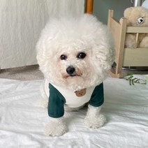 바이담수미 강아지 곰돌이 나그랑 티셔츠, 아이보리