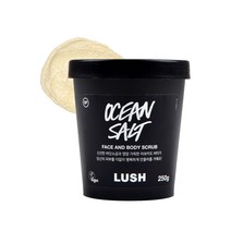 러쉬 오션 솔트 셀프 프리저빙 페이스 앤 보디 스크럽, 250g, 1개