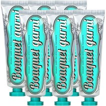 부케가르니 구취 케어 프레쉬민트향 치약, 100g, 6개
