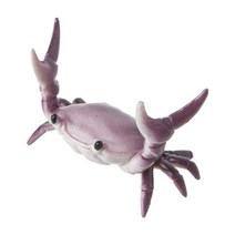 야자컴퍼니 게딱지 펜트레이, 퍼플, 1개