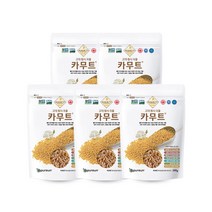 카무트 고대곡물 이집트 호라산밀, 5개, 500g