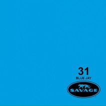 세비지 종이 롤 배경지 HALF, 31-1253(31 Blue Jay), 1개