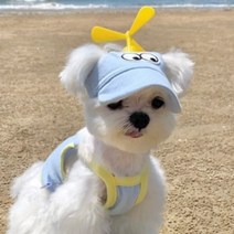 에이미러브즈펫 반려동물 BA 무지개빙글이 빙글이크롭 나시, 블루