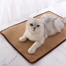 고양이 보드 패드 소파 침대 안티 장난감 스크래쳐 P210, 랜덤발송, 1개