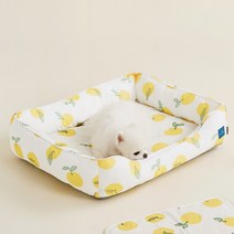 울리 반려동물 쿨링방석, 새콤사과