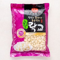 동보식품 정성을 듬뿍담은 좋은반찬 락교, 4kg, 1개