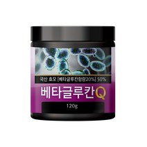 초담식품 발효 베타글루칸 가루 분말 Q, 120g, 1개