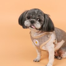 위러브 파스텔 에어메쉬 데이지 하네스, 브라운