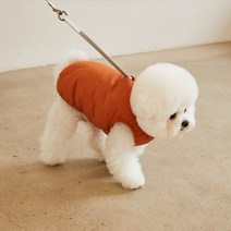 베니즈 반려동물 라이트 패딩, 오렌지