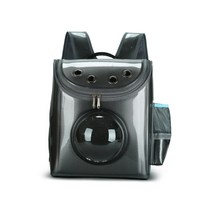 반려동물 우주선 박스형 캡슐 백팩, 메탈그레이