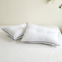 클리티룸 중량업 차콜라인 마이크로필에버 C자형 지퍼형 베개솜 2p, 화이트