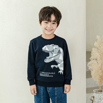 라라아망 남아용 팬덤공룡 맨투맨