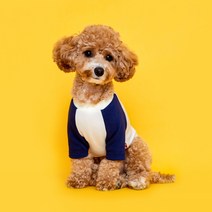 플로트 강아지 베이직 마카롱 티셔츠, 네이비