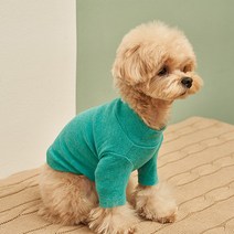 강아지긴팔티셔츠 최저가로 싸게 판매되는 인기 상품 목록