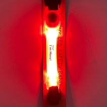 강아지 산책용품 야광목줄 커넥션 LED 나이트 목걸이 밴드, 레드, 1개